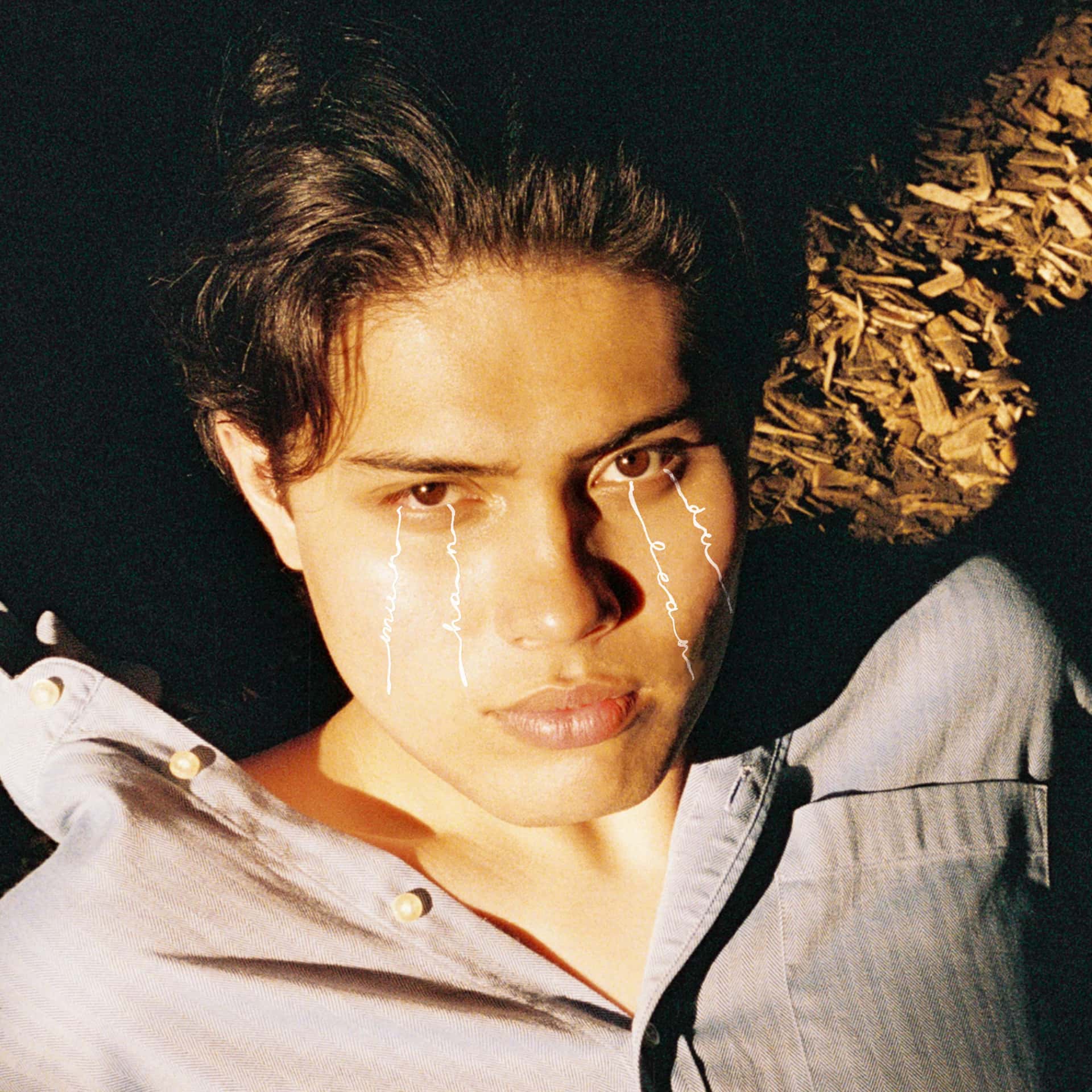 Den norske artisten VEGARD